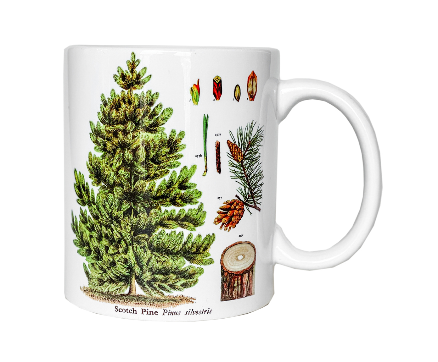 Caneca Pinheiro image number 0
