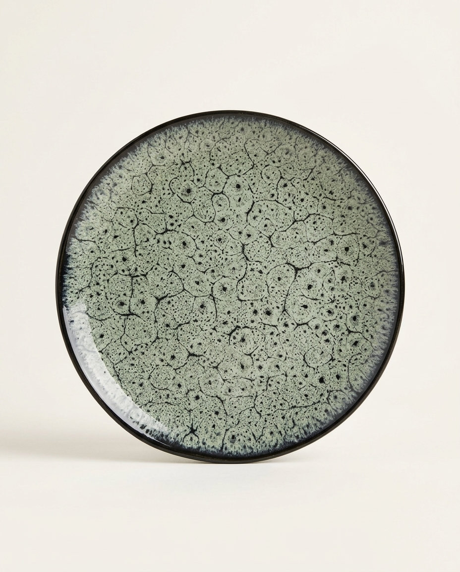 Jogo de Prato em Porcelana Margo Verde e Preto image number 4
