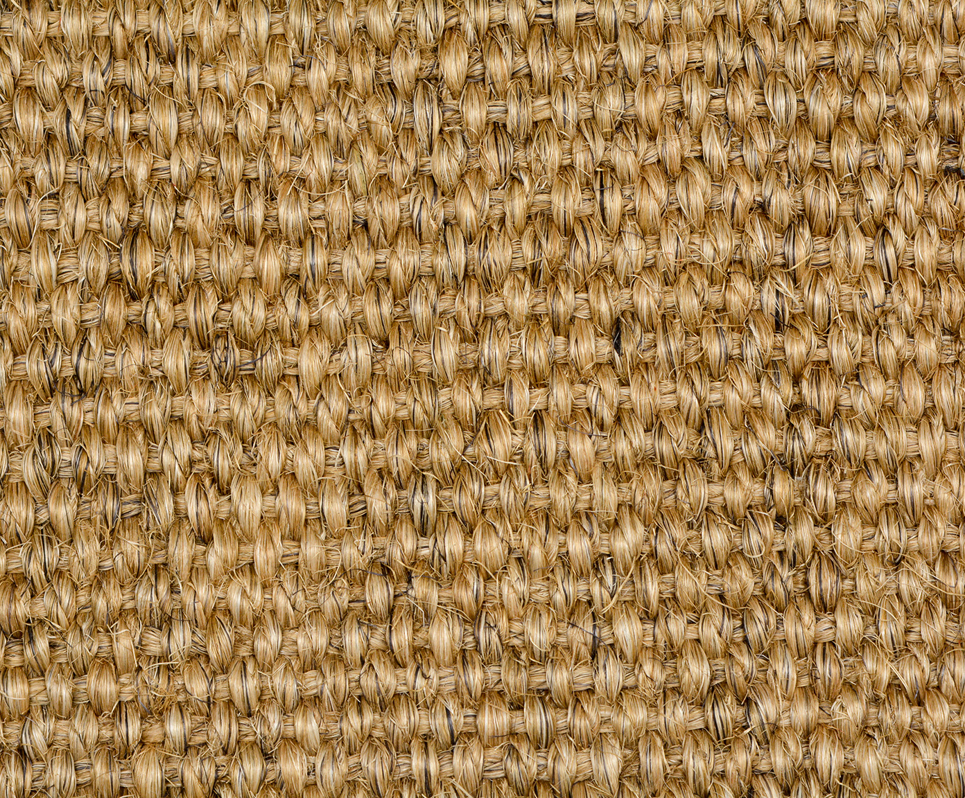 Tapete Debrum Amazonas Cru image number 2