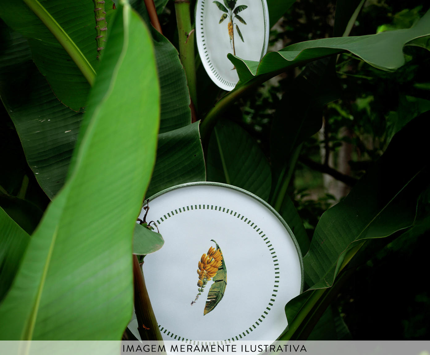 Jogo de Pratos para Sobremesa Bio Banan&ecirc; Floral image number 3