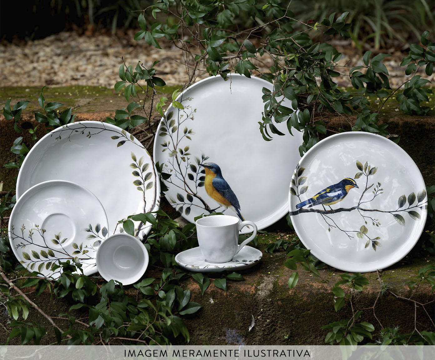 Jogo de Pratos Fundo Bio Birdy Animal image number 2