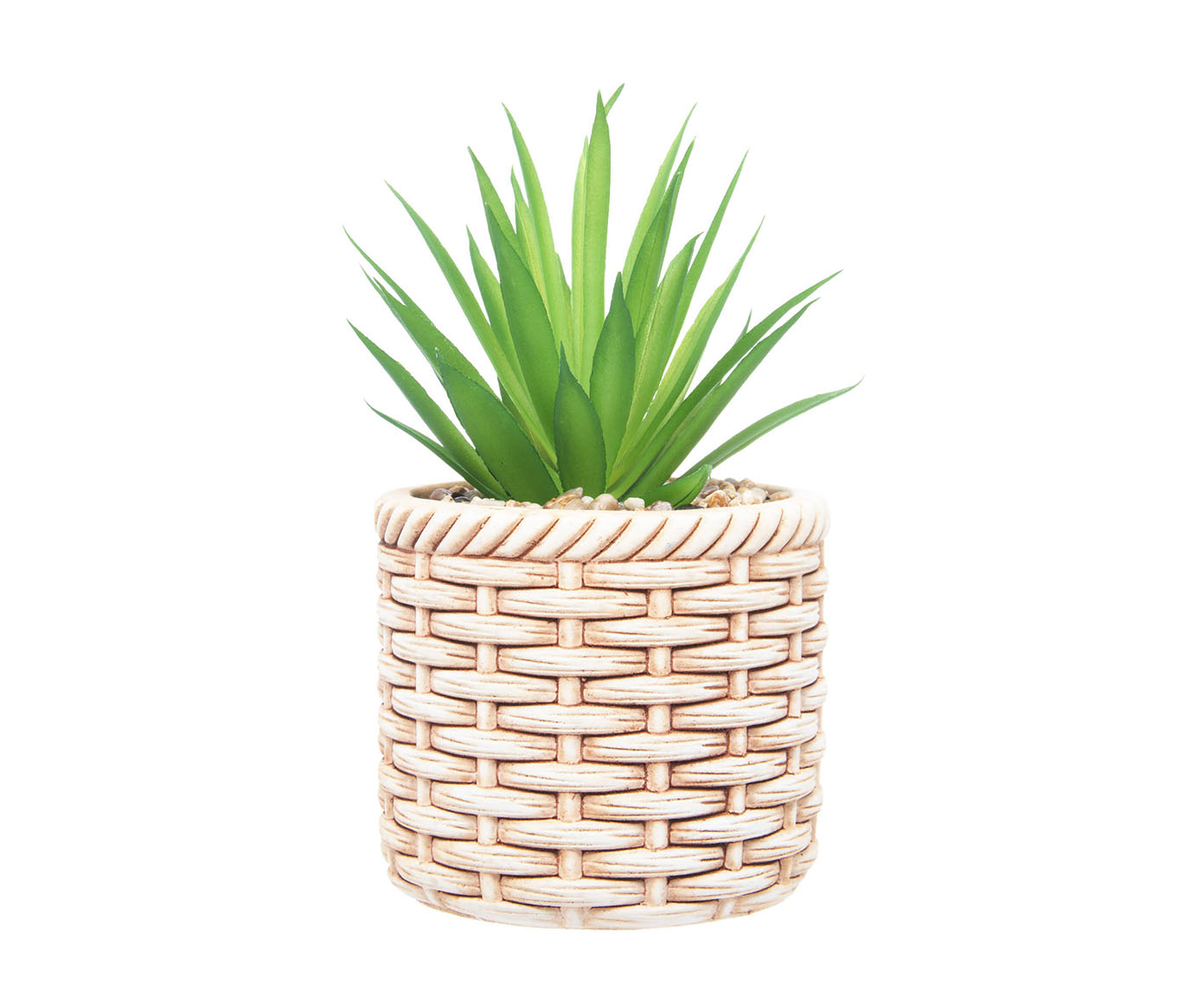 Cachepot de Cer&acirc;mica com Suculenta Rattan image number 1