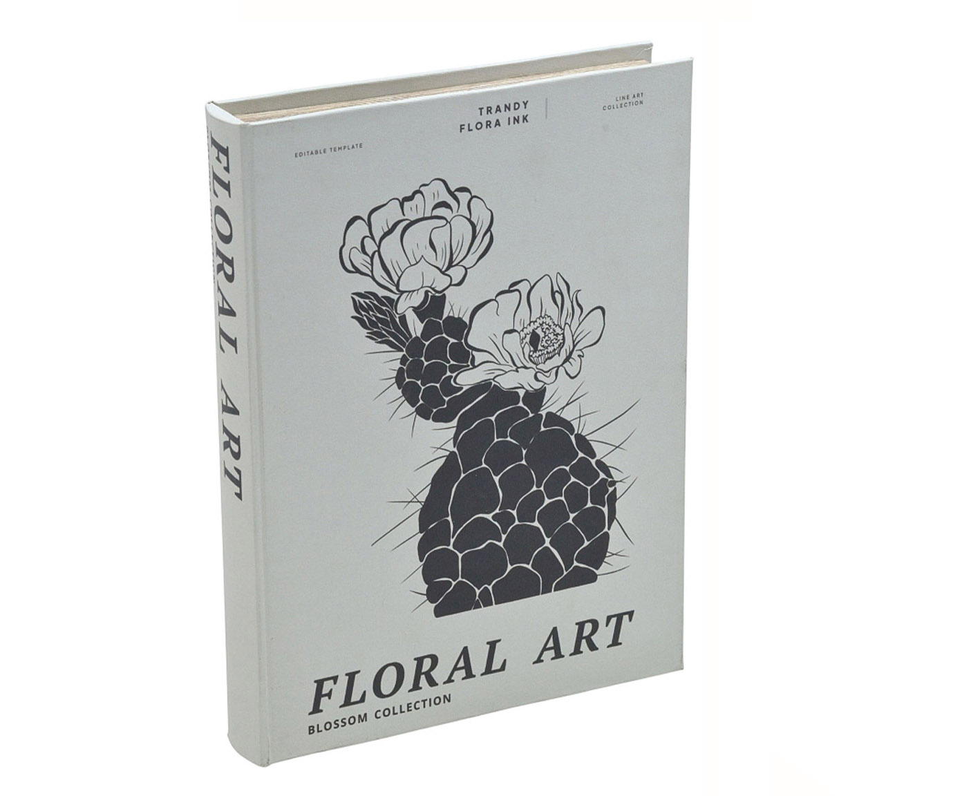 Book Box Decorativa Arani image number 0