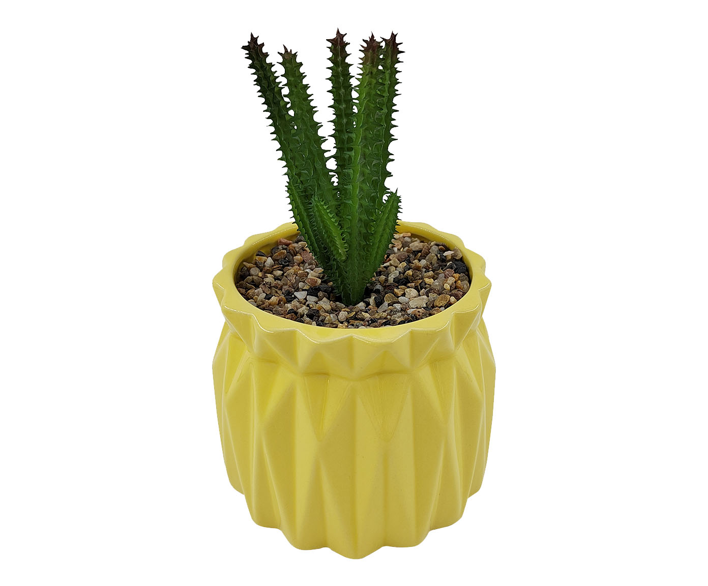 Vaso com Suculenta Amarela - image 0