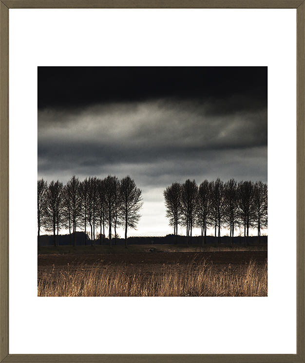 NATURE COLLECTION - MD1104 63x53cm - image 0