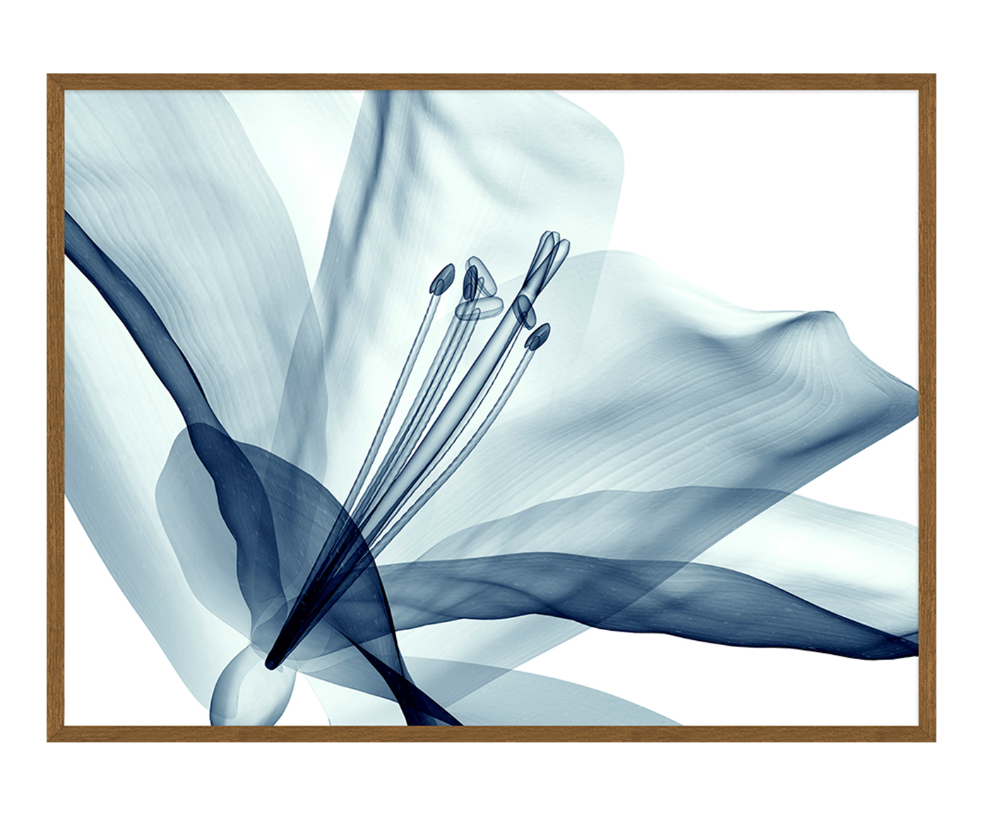 Quadro Artsy Libre - image 0