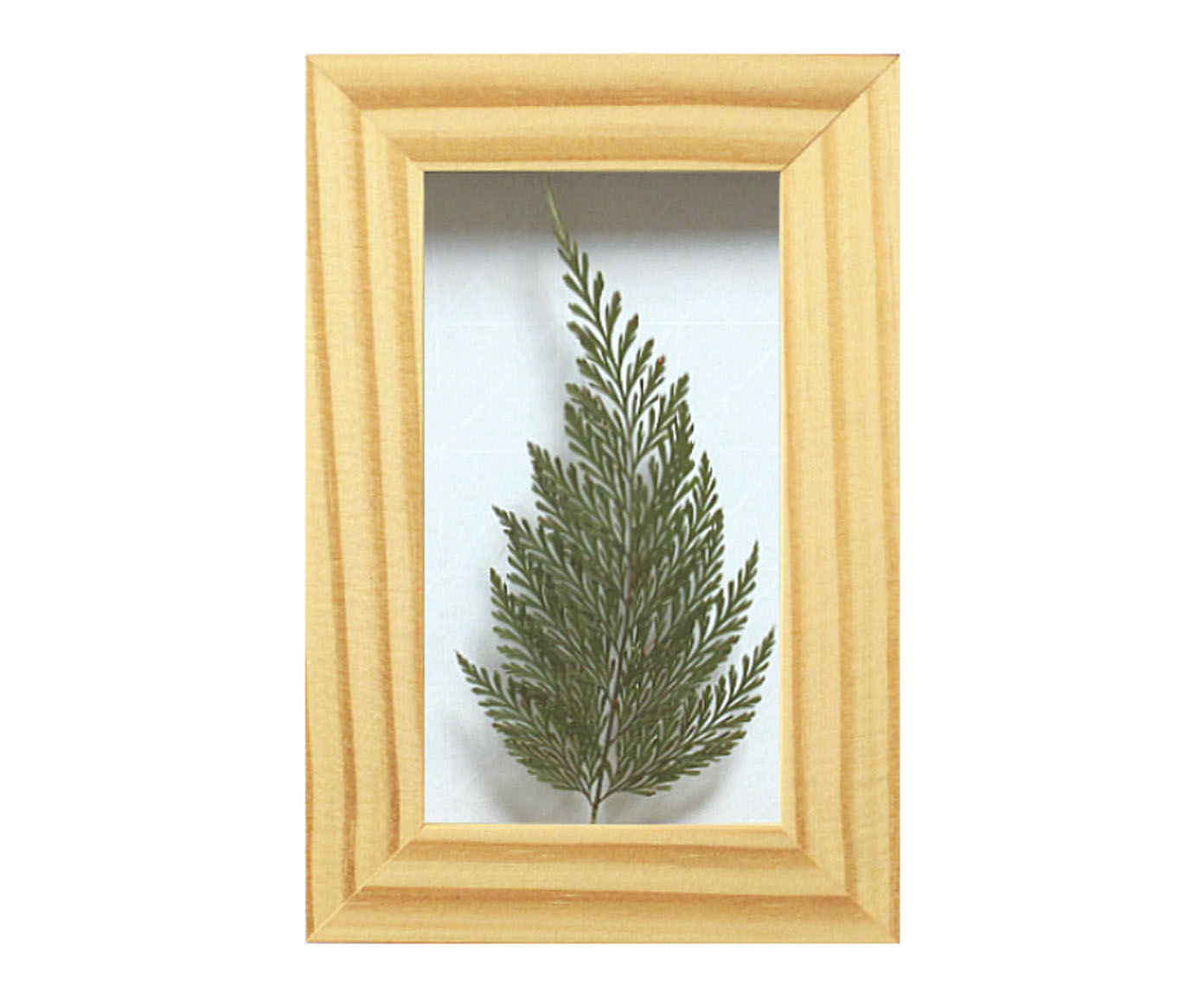 Quadro Renda Portuguesa Pinus image number 0