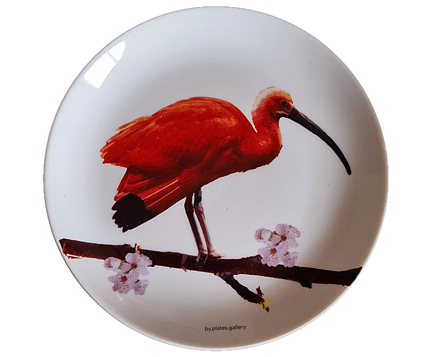 Prato de Porcelana Guar&aacute; Jurema - image 0