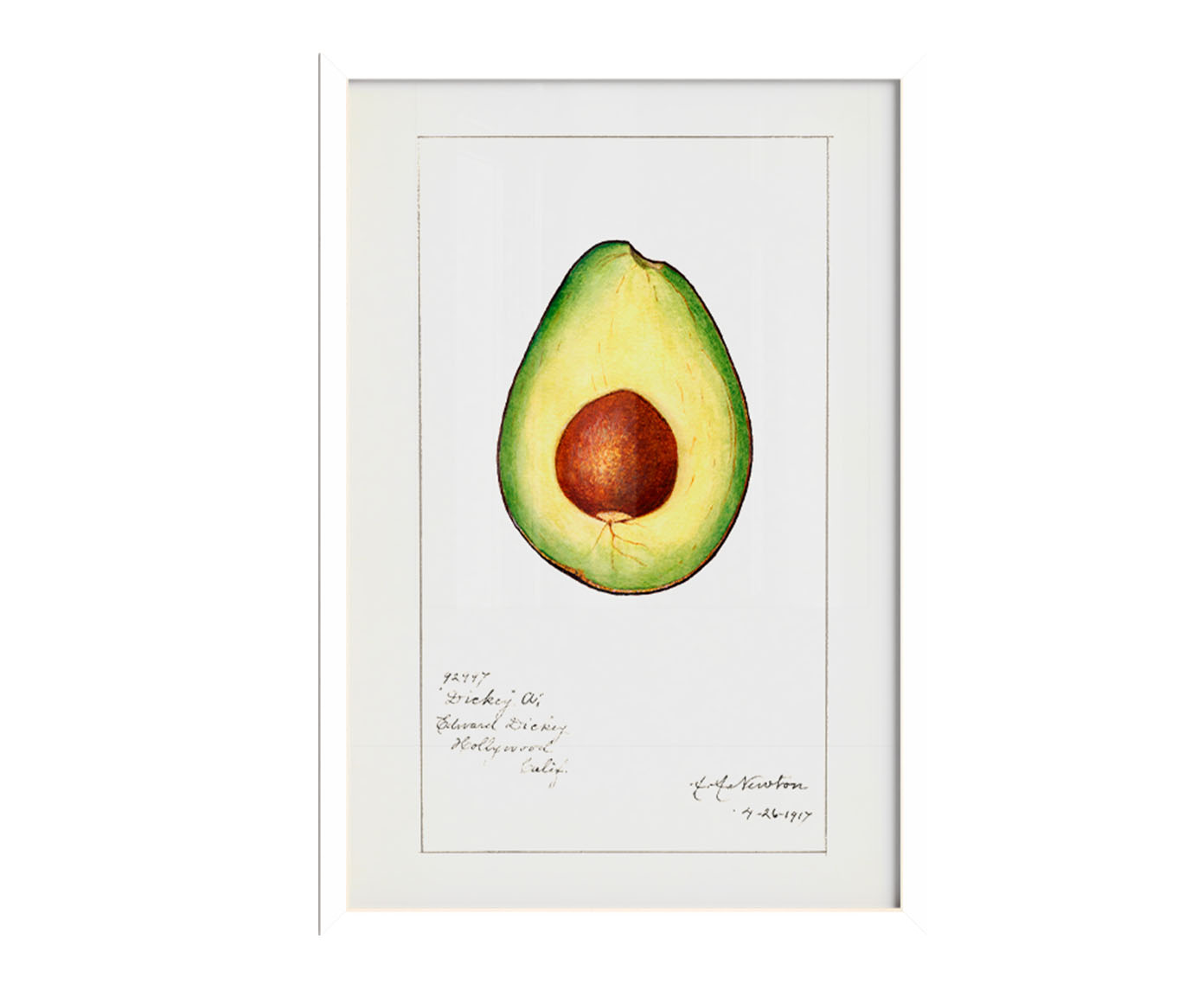 Quadro Avocado Vintage com Moldura Branca image number 0