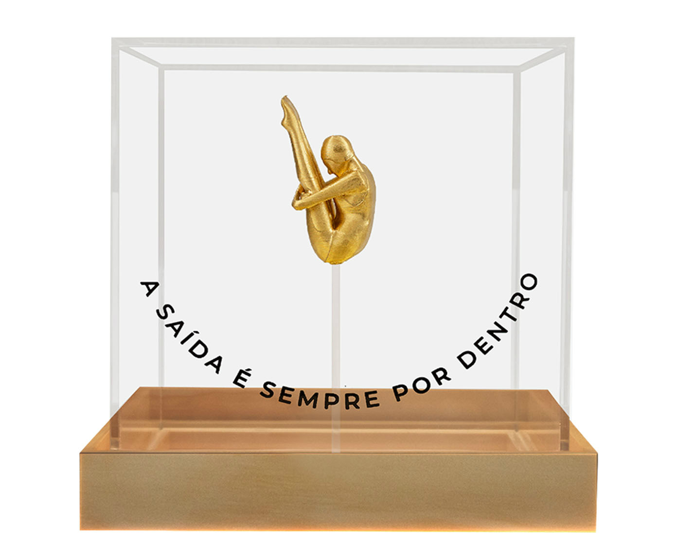 Caixa Decorativa Espinilo Dourado - image 0