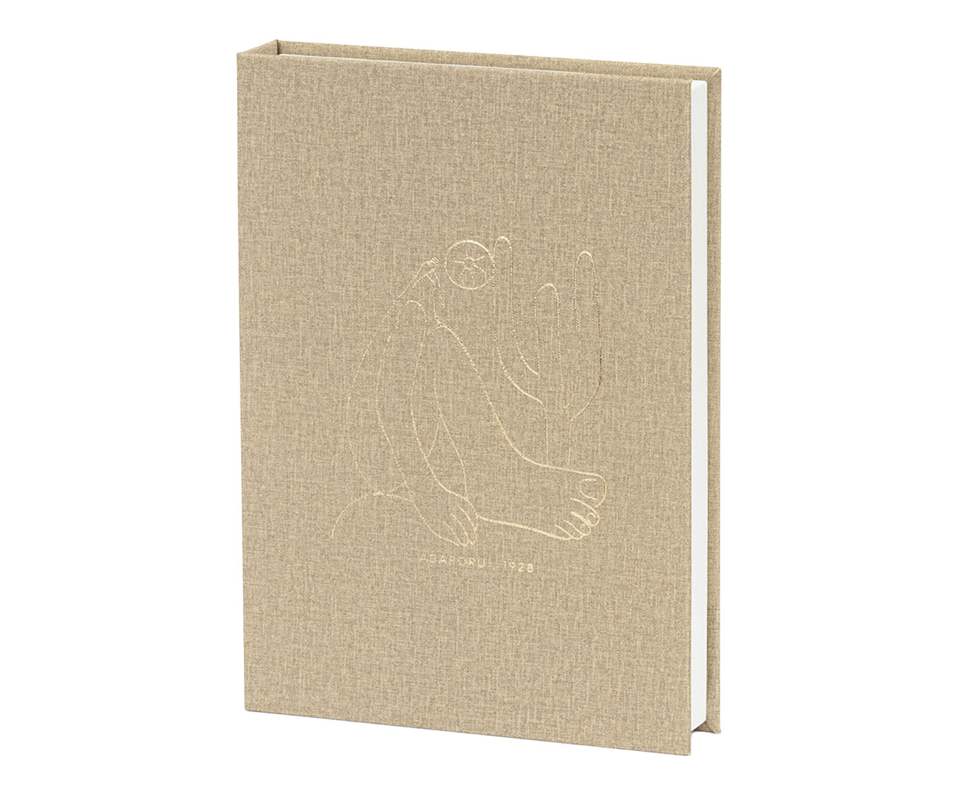 Livro-Caixa Abaporu em Mdf e Pu - image 0