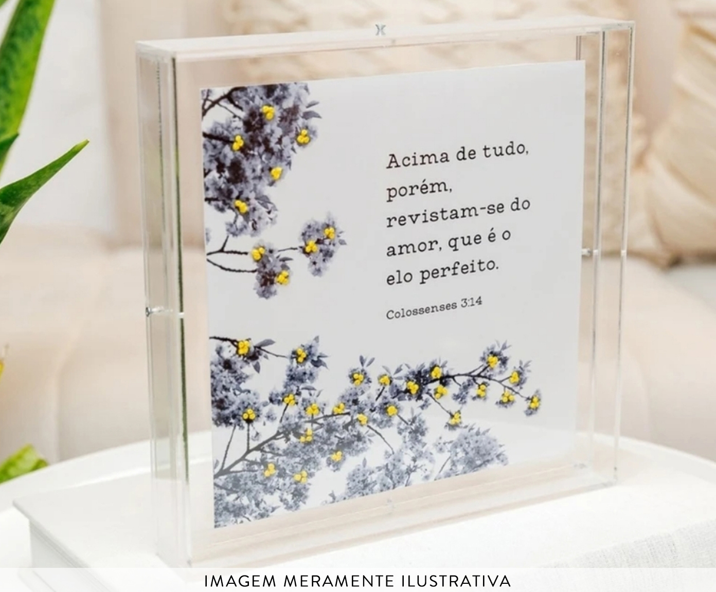 Quadro Caixa Acr&iacute;lico "Colosenses" - image 1