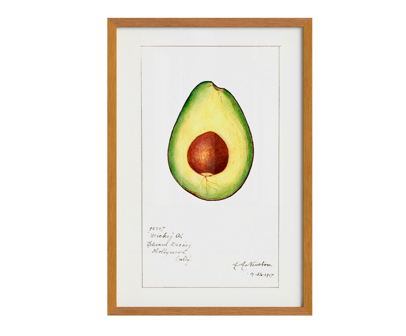 Quadro Avocado Vintage com Moldura em Madeira image number 0