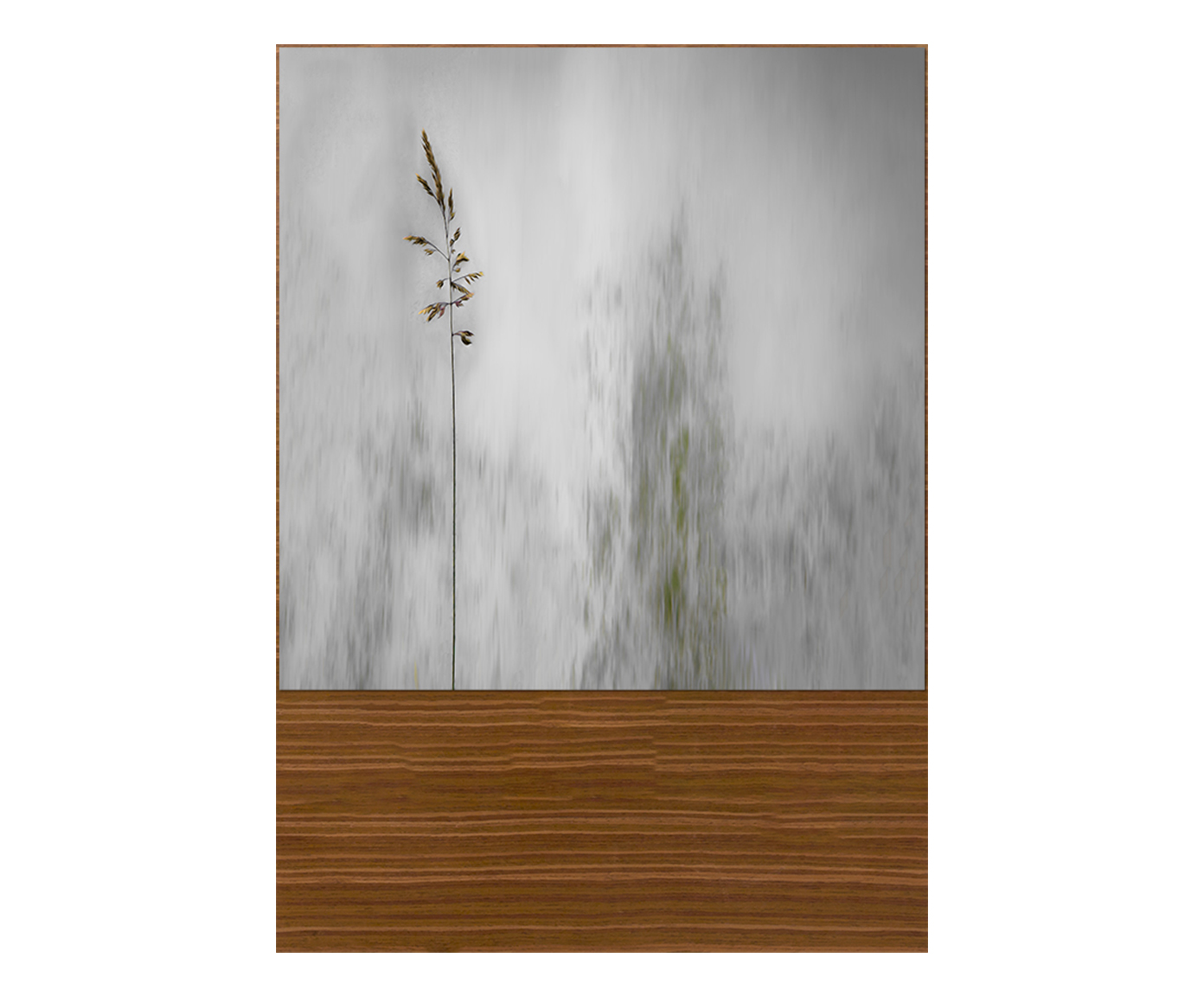 Quadro Nature Far - image 0