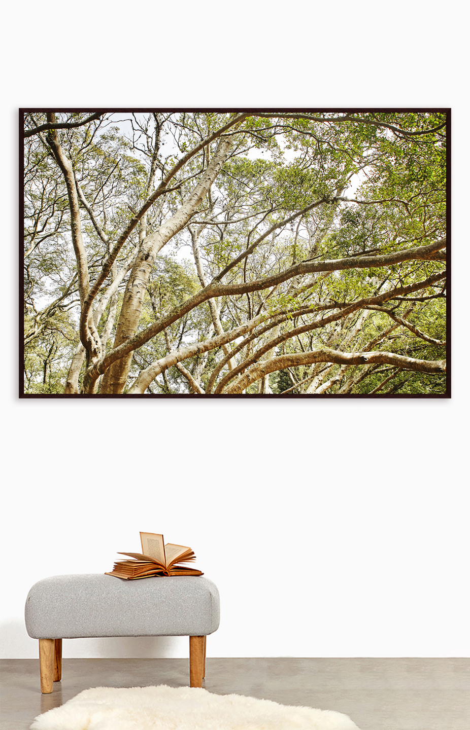Quadro Save The Forest V image number 2
