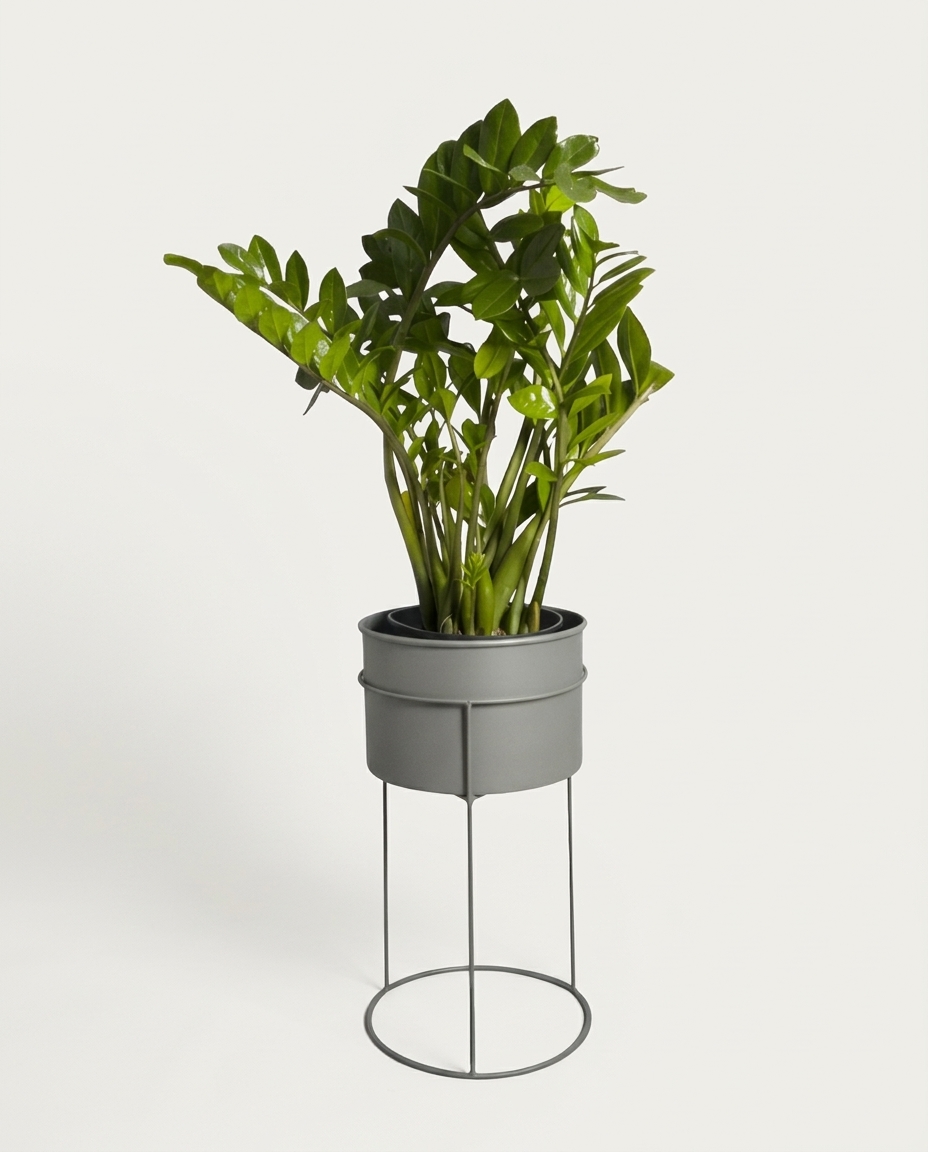 Suporte de Plantas com Vaso Humait&aacute; Cinza image number 4