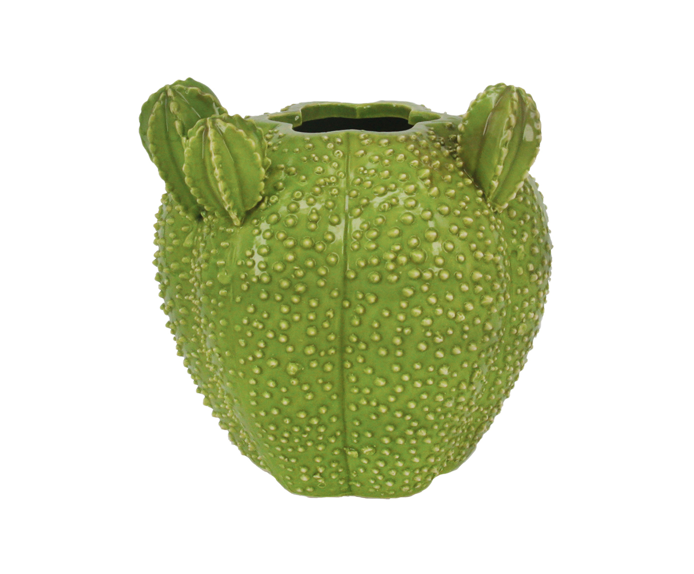 Cachepot Cacto Lis image number 0