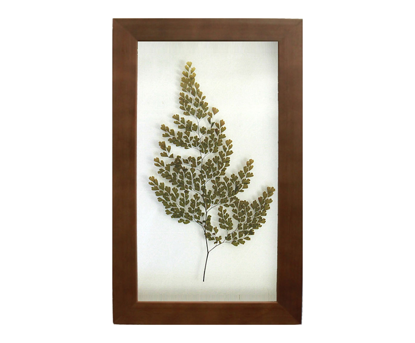 Quadro Avenca Imbuia image number 0