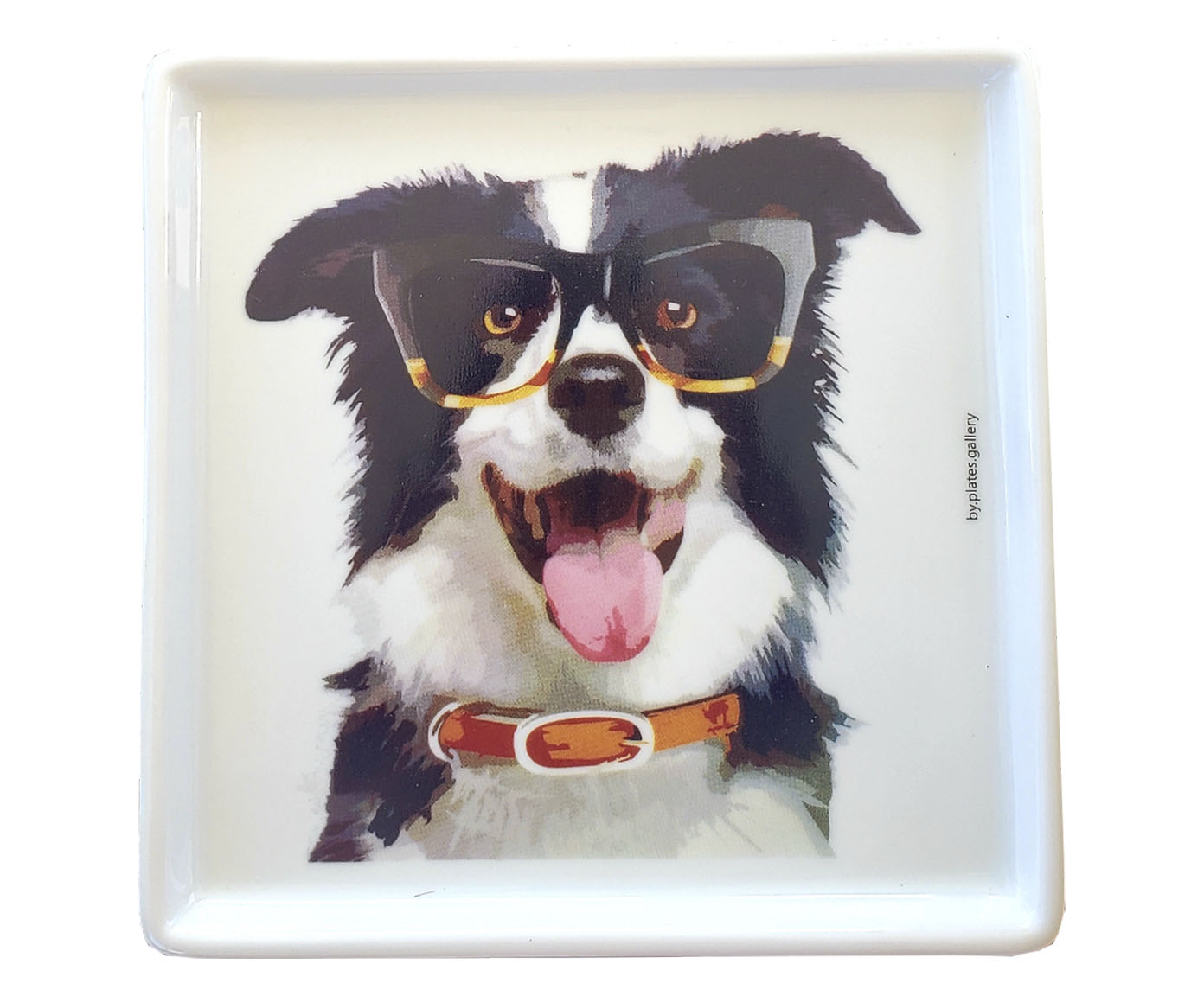 Prato de Porcelana Border Collie Jorge - image 0