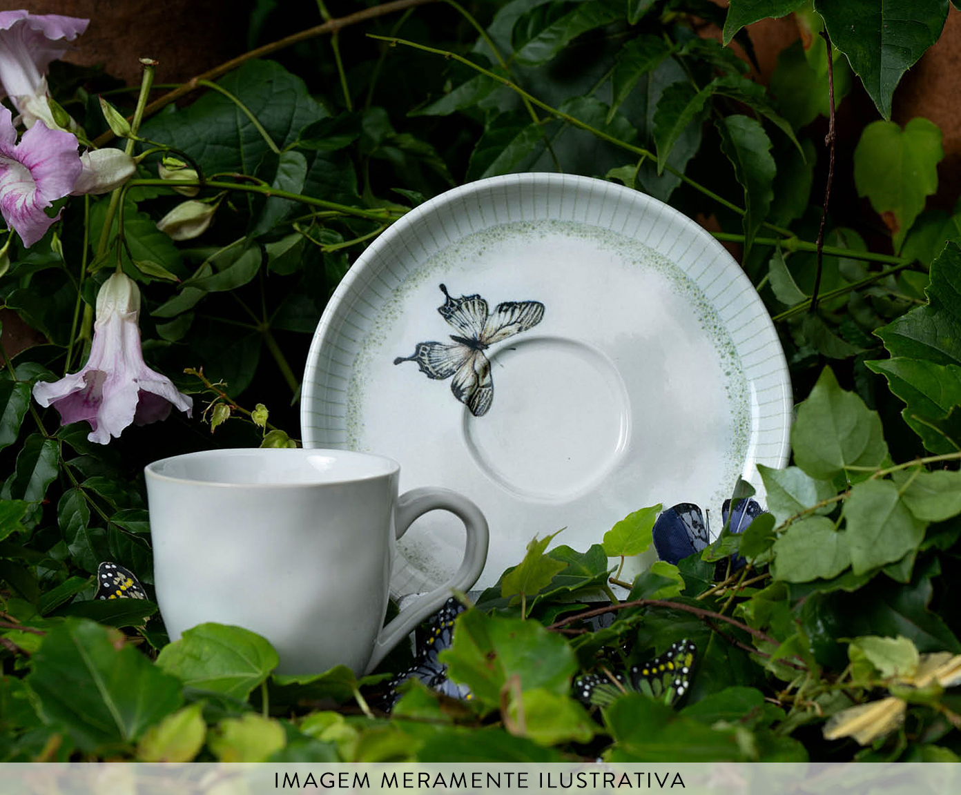 Jogo de X&iacute;caras para Caf&eacute; Bio Ref&uacute;gio Animal - image 1