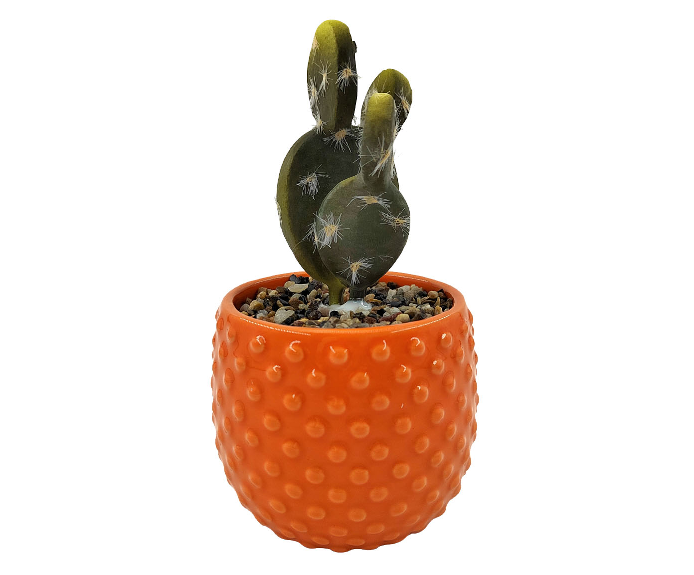 Vaso com Suculenta Laranja - image 0
