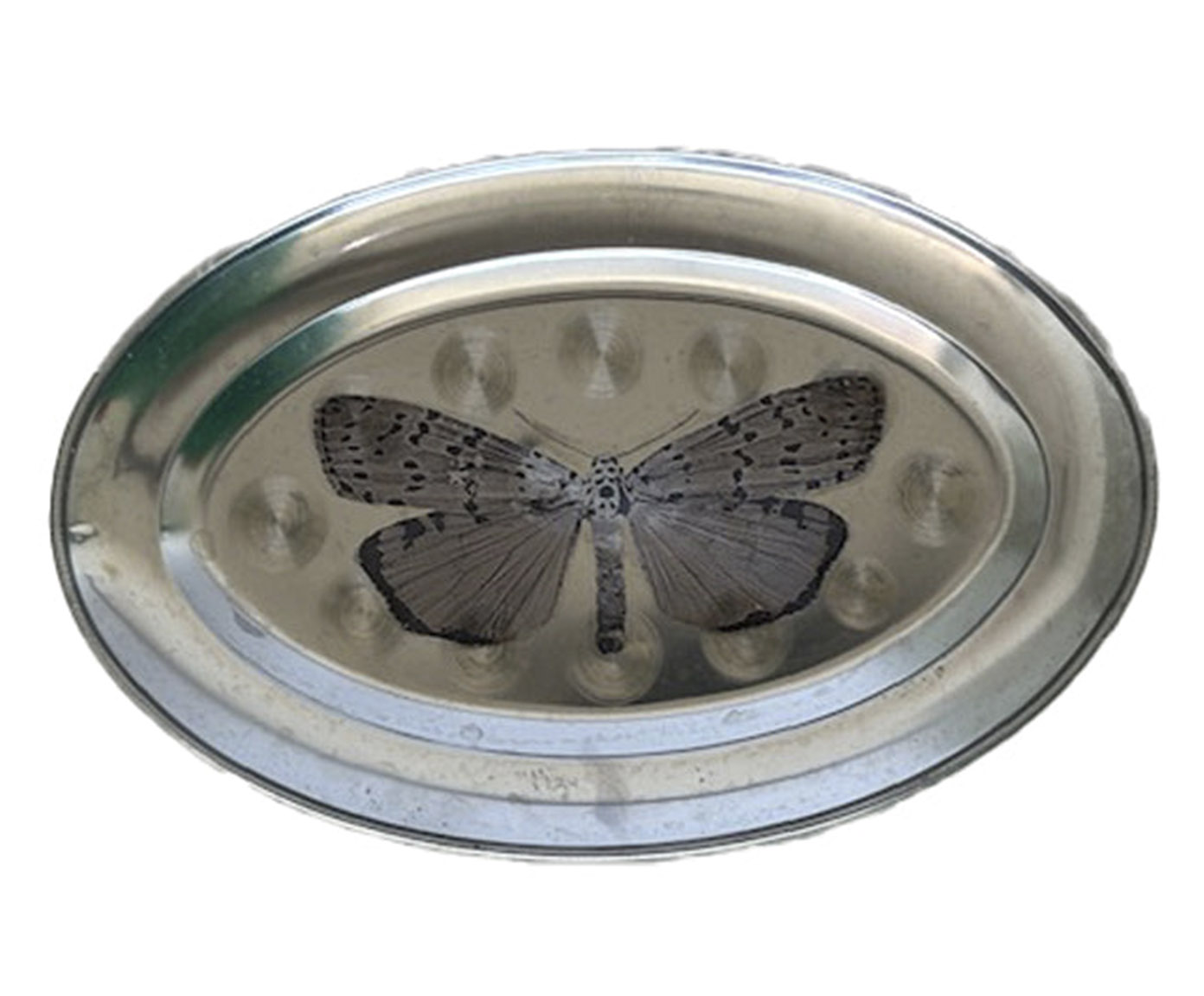 Prato Oval Butterfly Prata image number 0