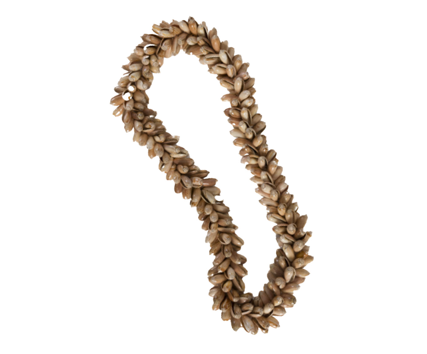Colar Decorativo Conchas Kallal image number 0