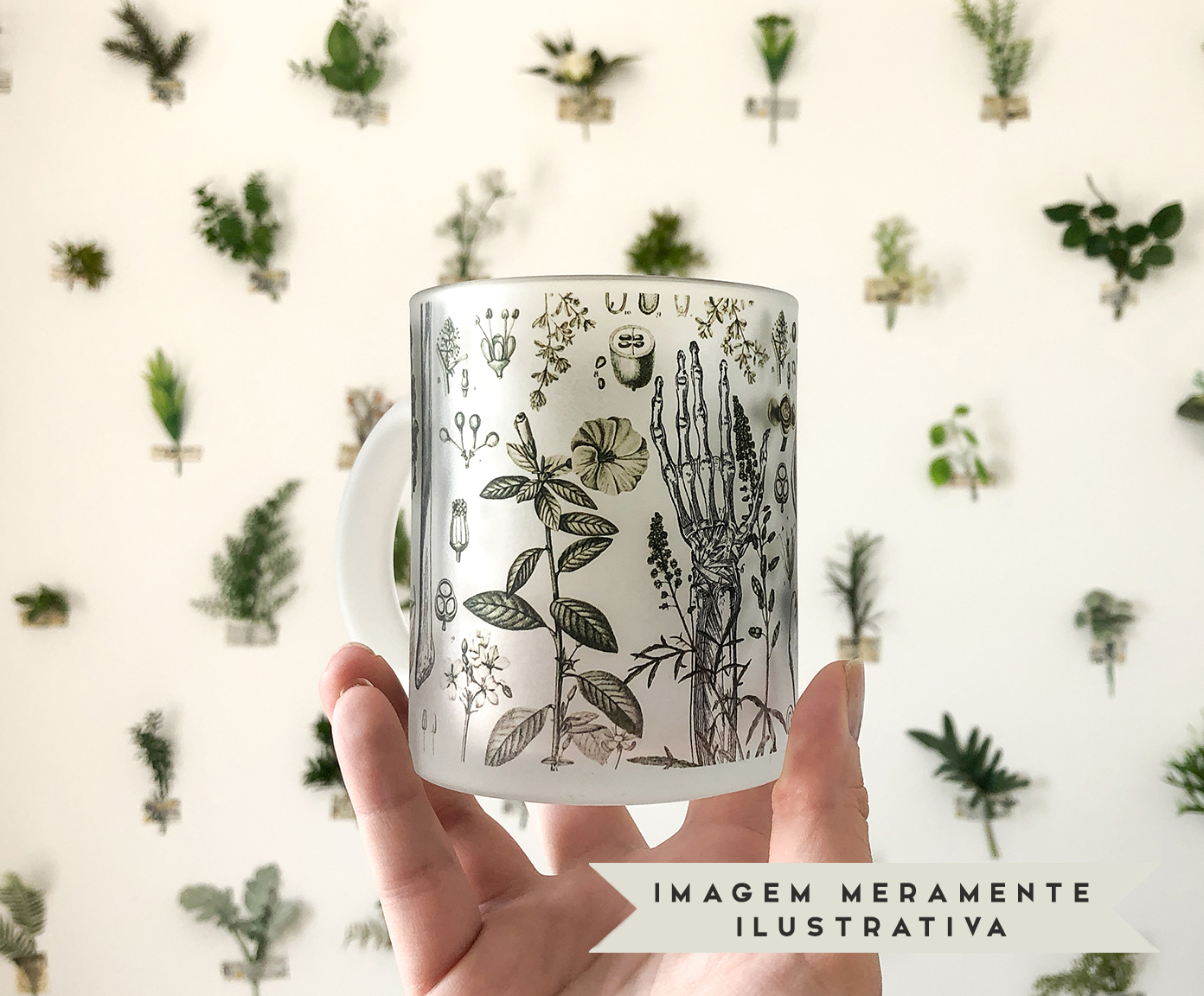 Caneca Botanical image number 7
