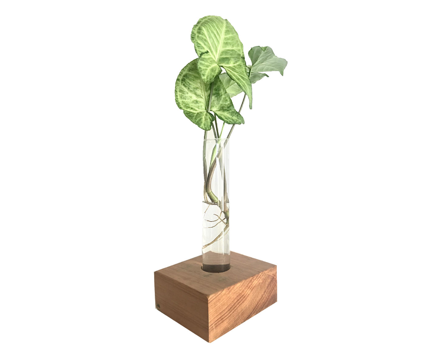 Vaso Tubo image number 0