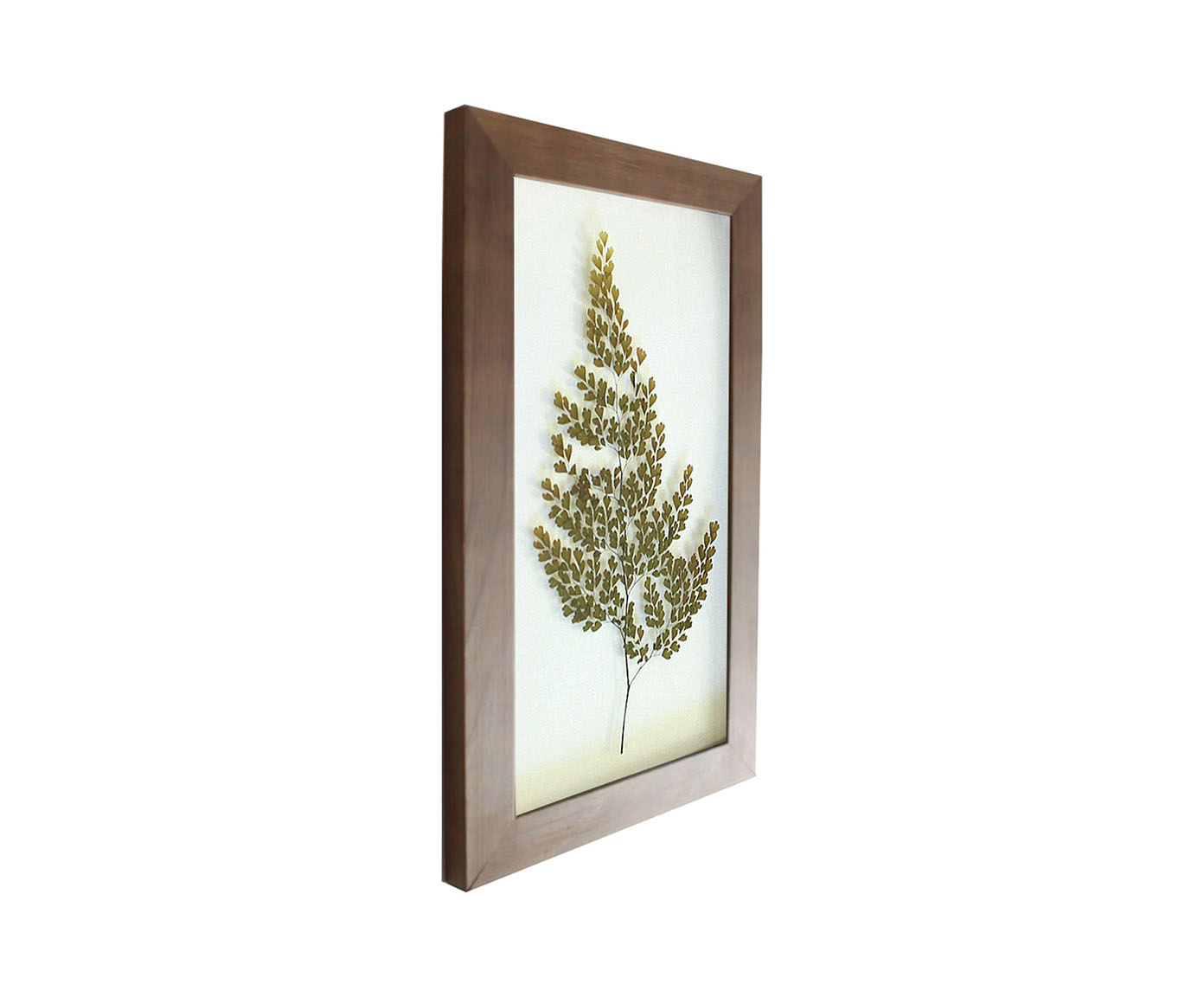 Quadro Avenca Imbuia image number 1