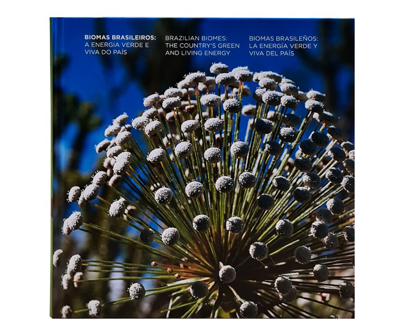 Livro "Biomas Brasileiros - A Energia Verde E Viva Do Pais" - image 0
