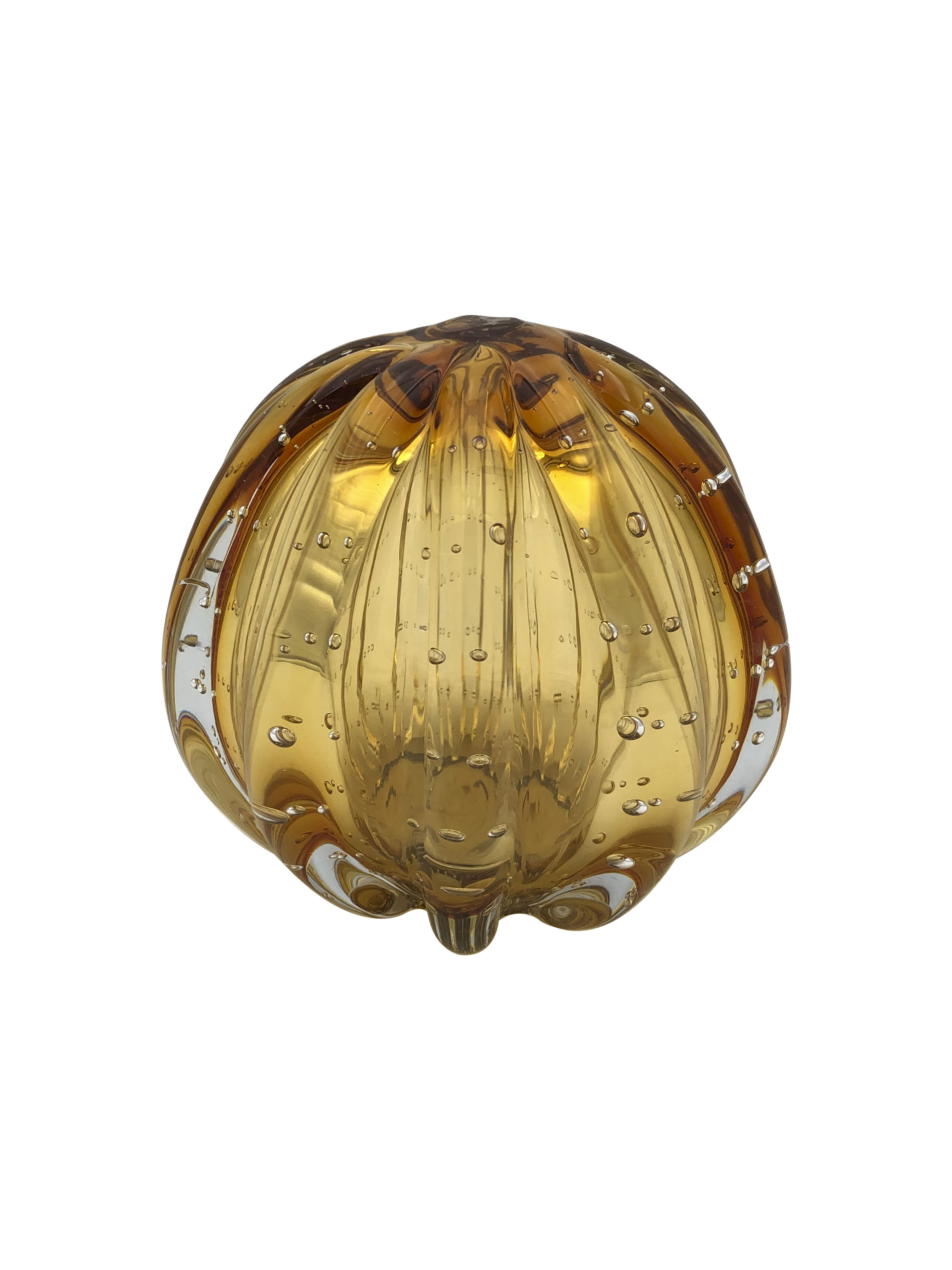 Vaso Shell &Acirc;mbar image number 0