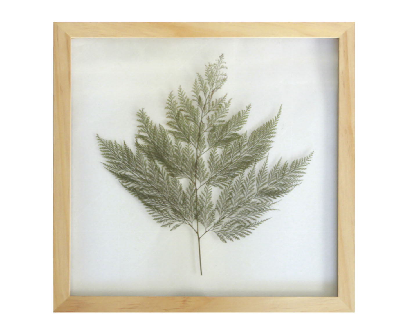 Quadro Renda Portuguesa Pinus image number 0