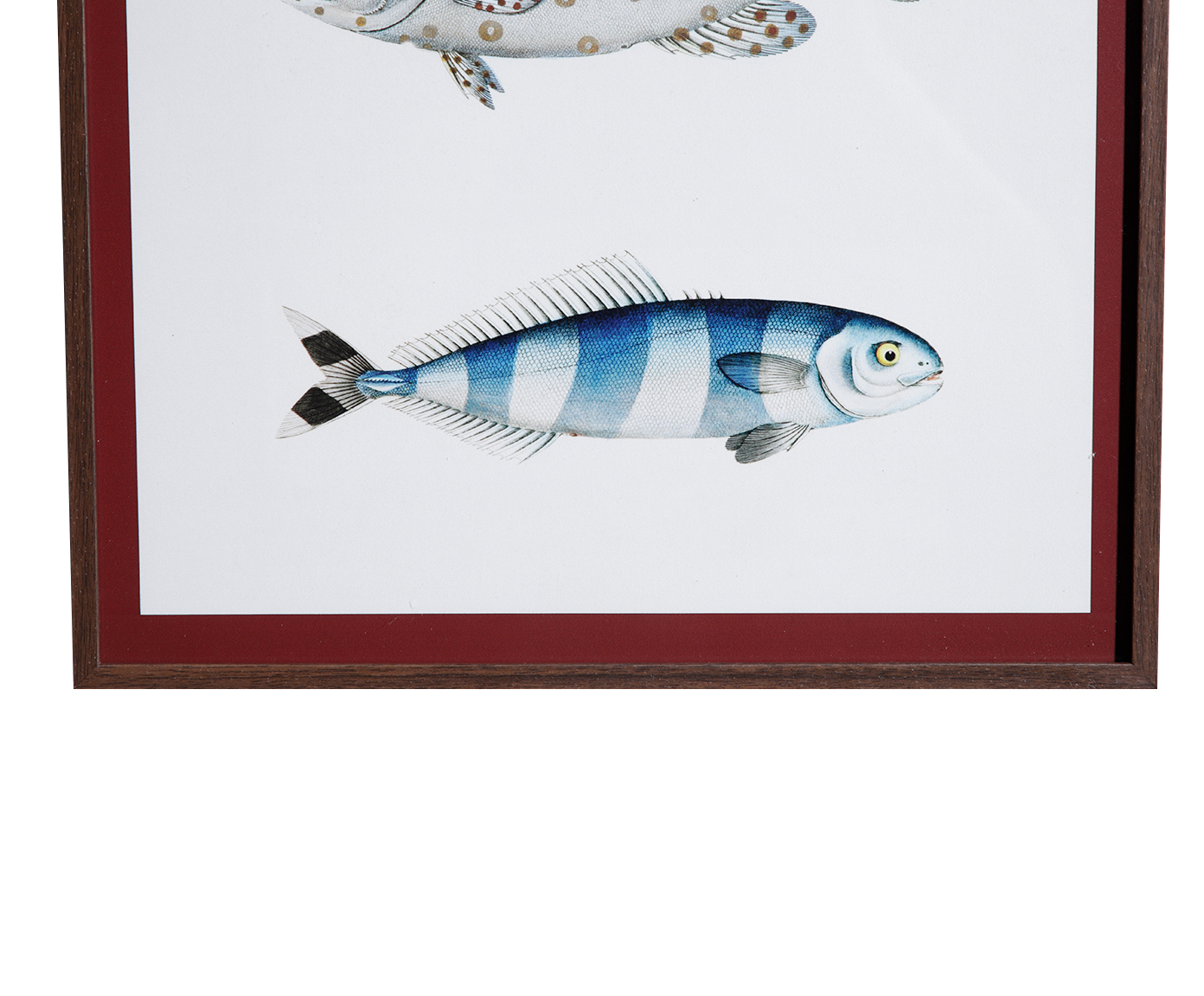 Quadro Decorativo Pescaria image number 3