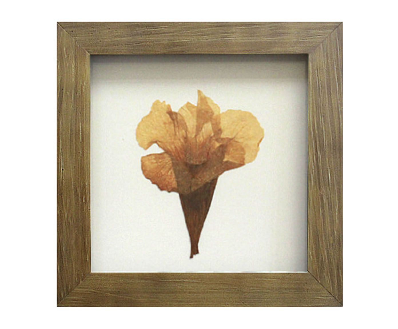 Quadro Ip&ecirc; Amarelo Imbuia image number 0
