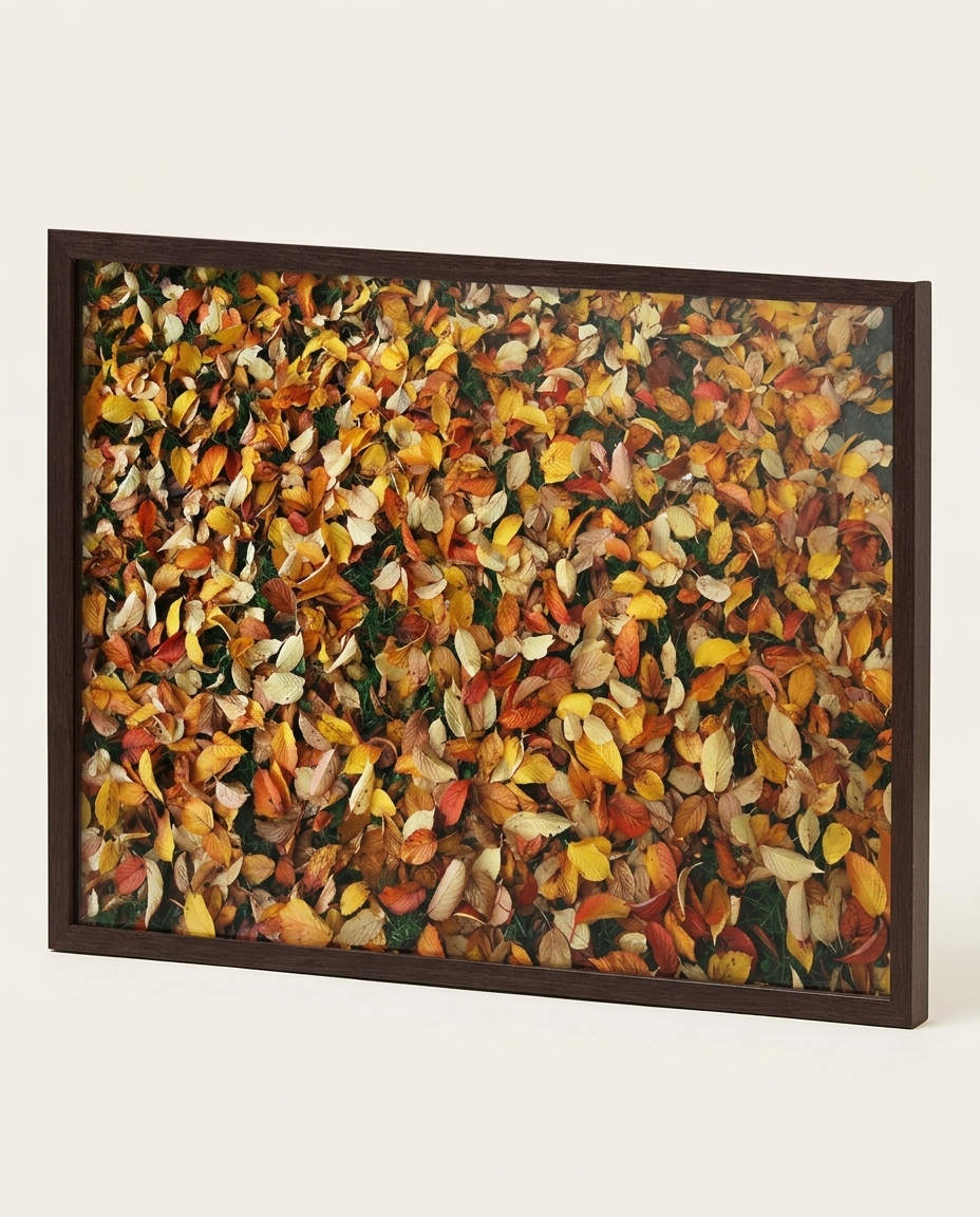 Quadro Bouki - image 1