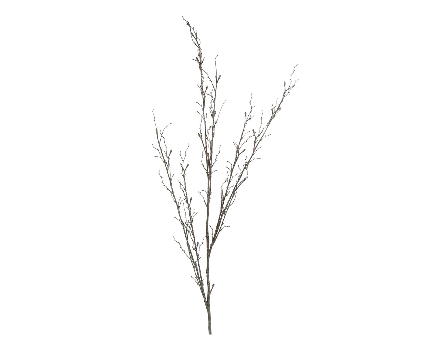 Planta Branch Bronze E Prateado image number 0