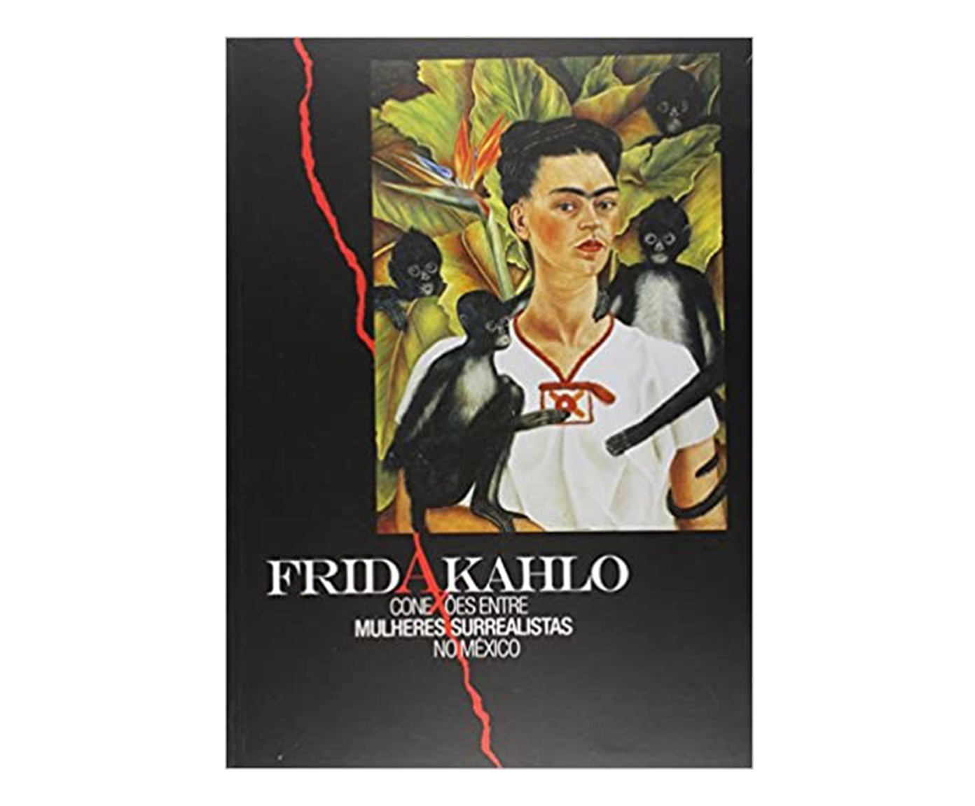 Livro "Frida Kahlo - Conex&otilde;es Entre Mulheres Surrealista" image number 0