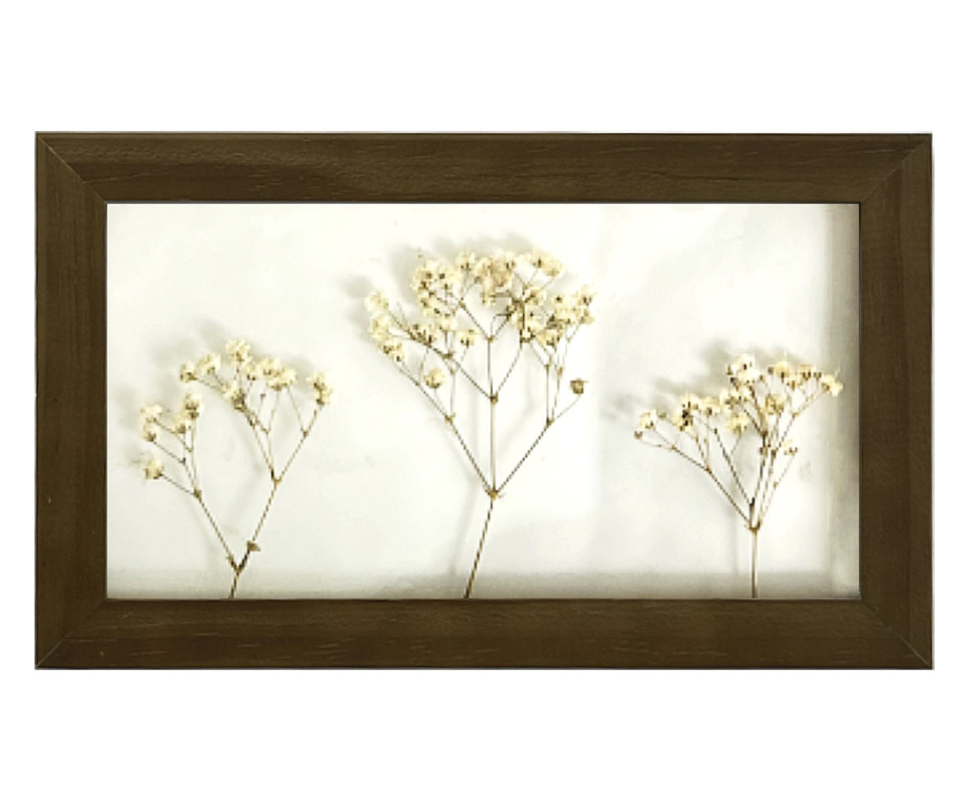 Quadro Mosquitinho Imbuia I image number 0