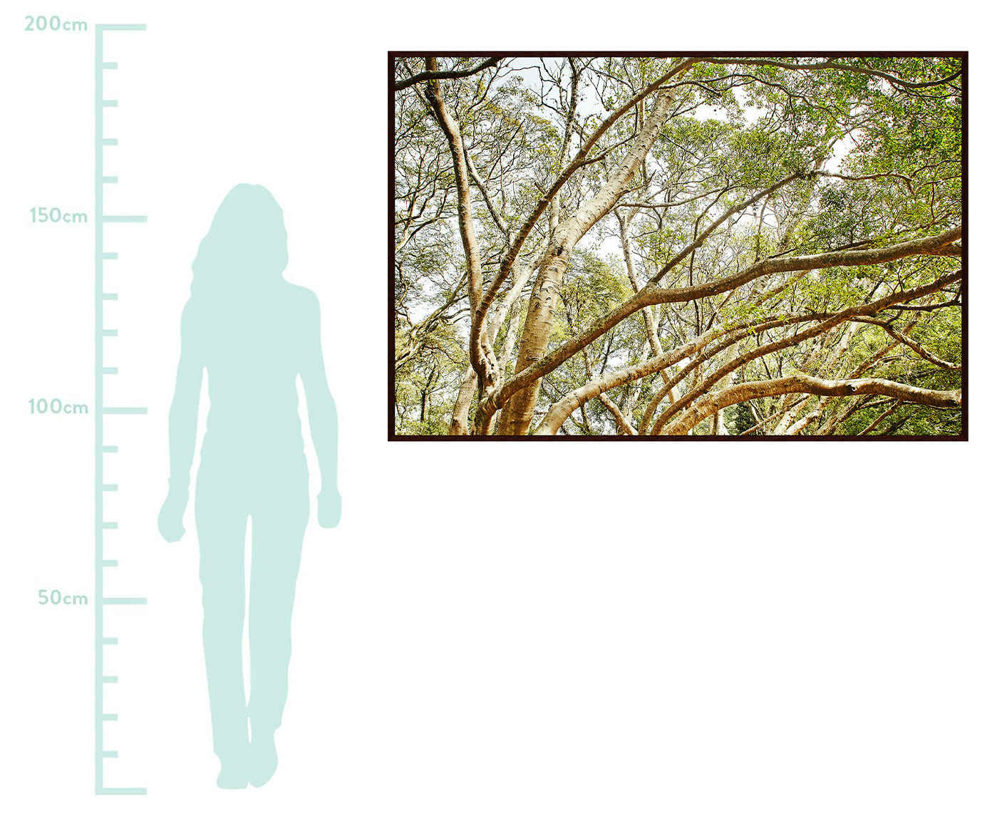 Quadro Save The Forest V image number 1