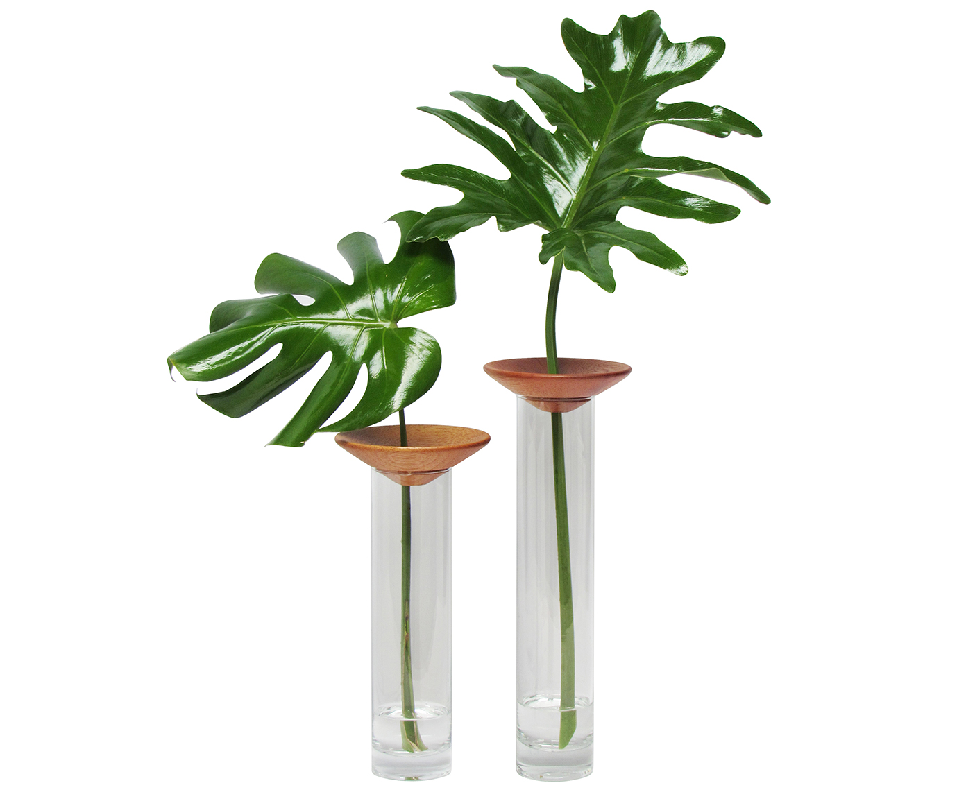 Vaso Baob&aacute; Maior - image 1