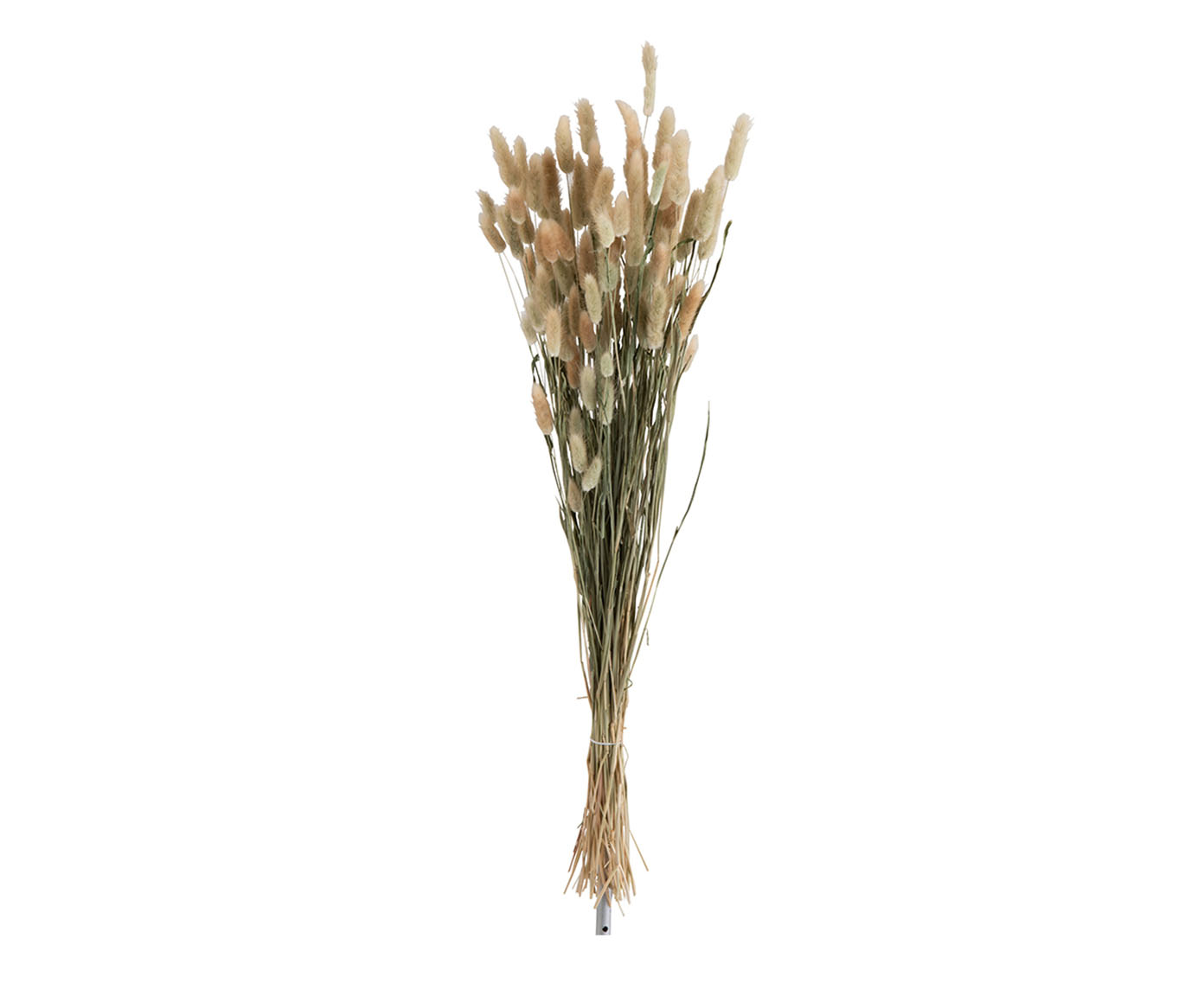 Ramo de Folhas - Verde - image 0