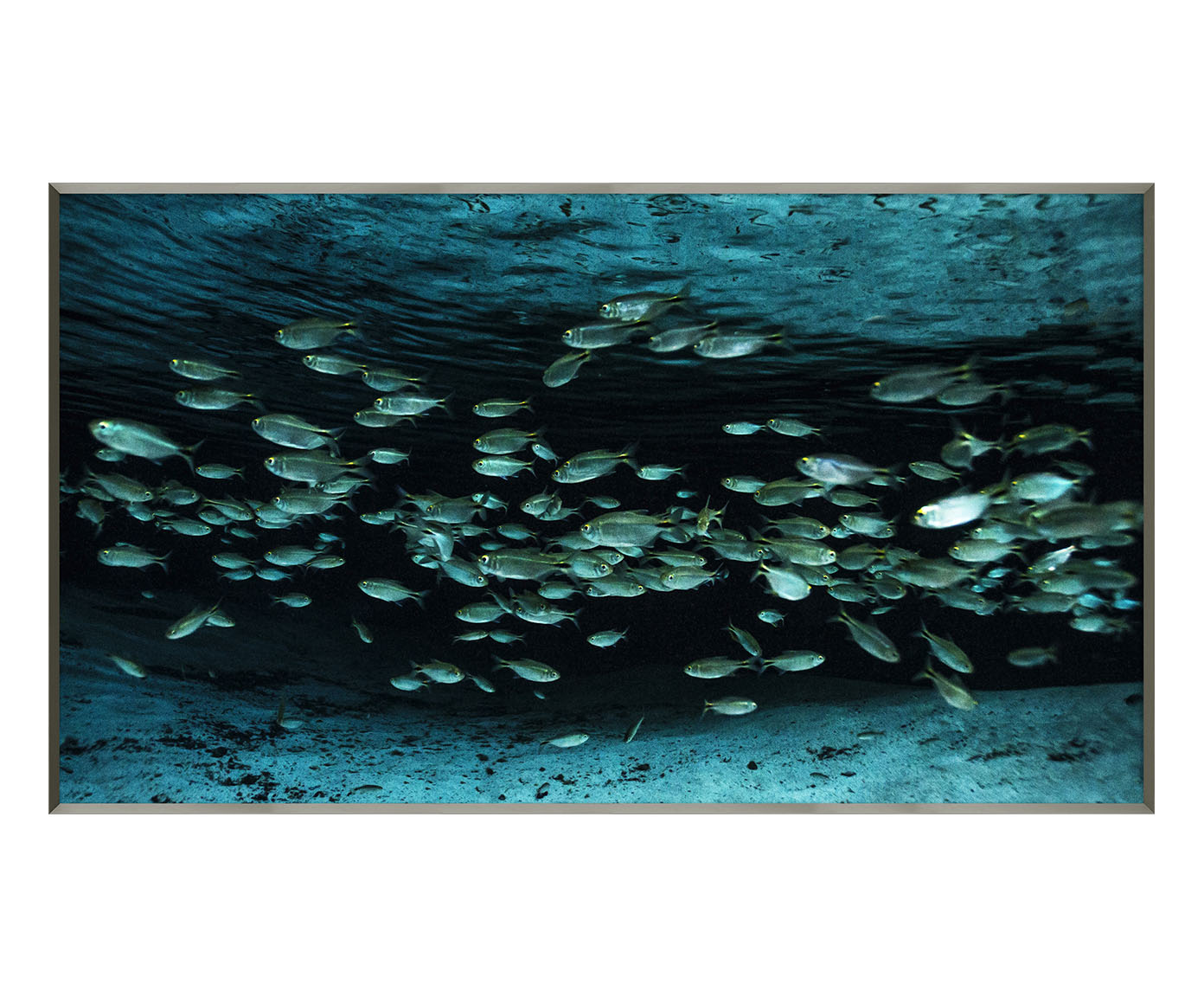Quadro Peixes I - Reinaldo Giarola image number 0