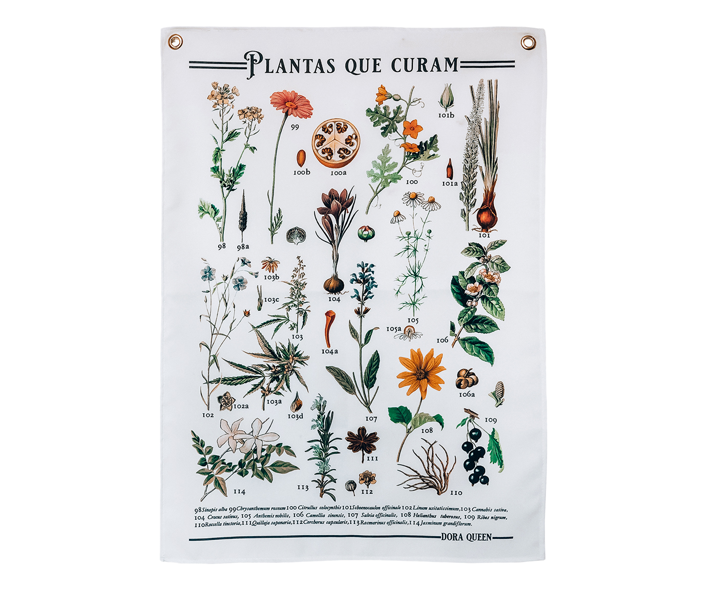 Tecido de Parede Plantas Que Curam image number 0