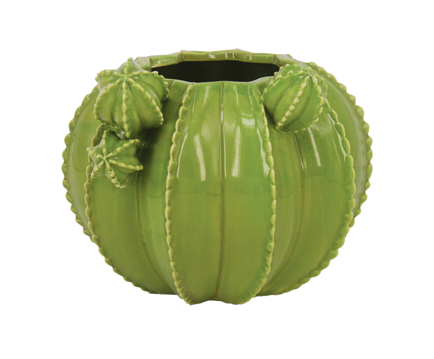 Cachepot Cacto Nina image number 0