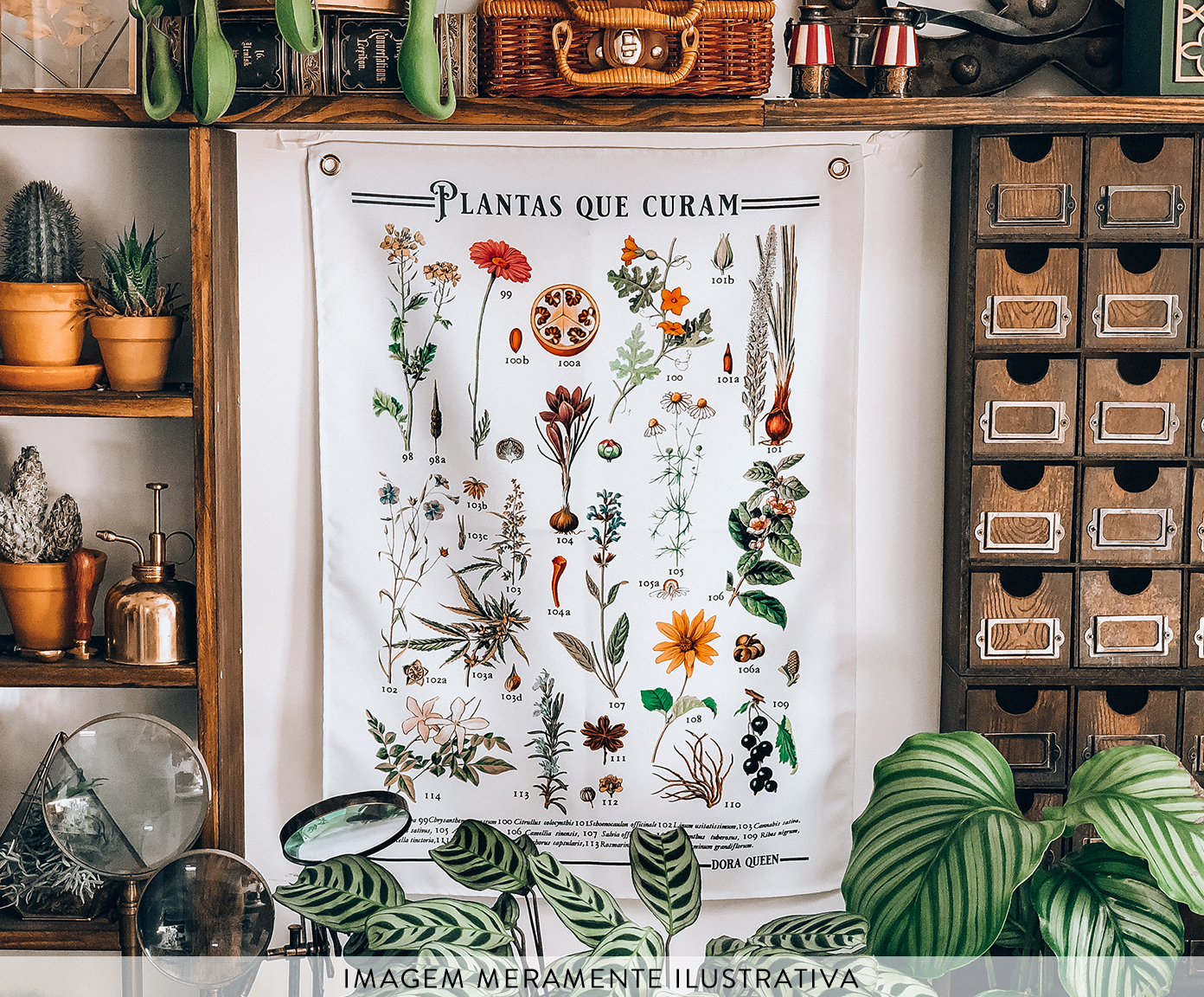 Tecido de Parede Plantas Que Curam image number 3