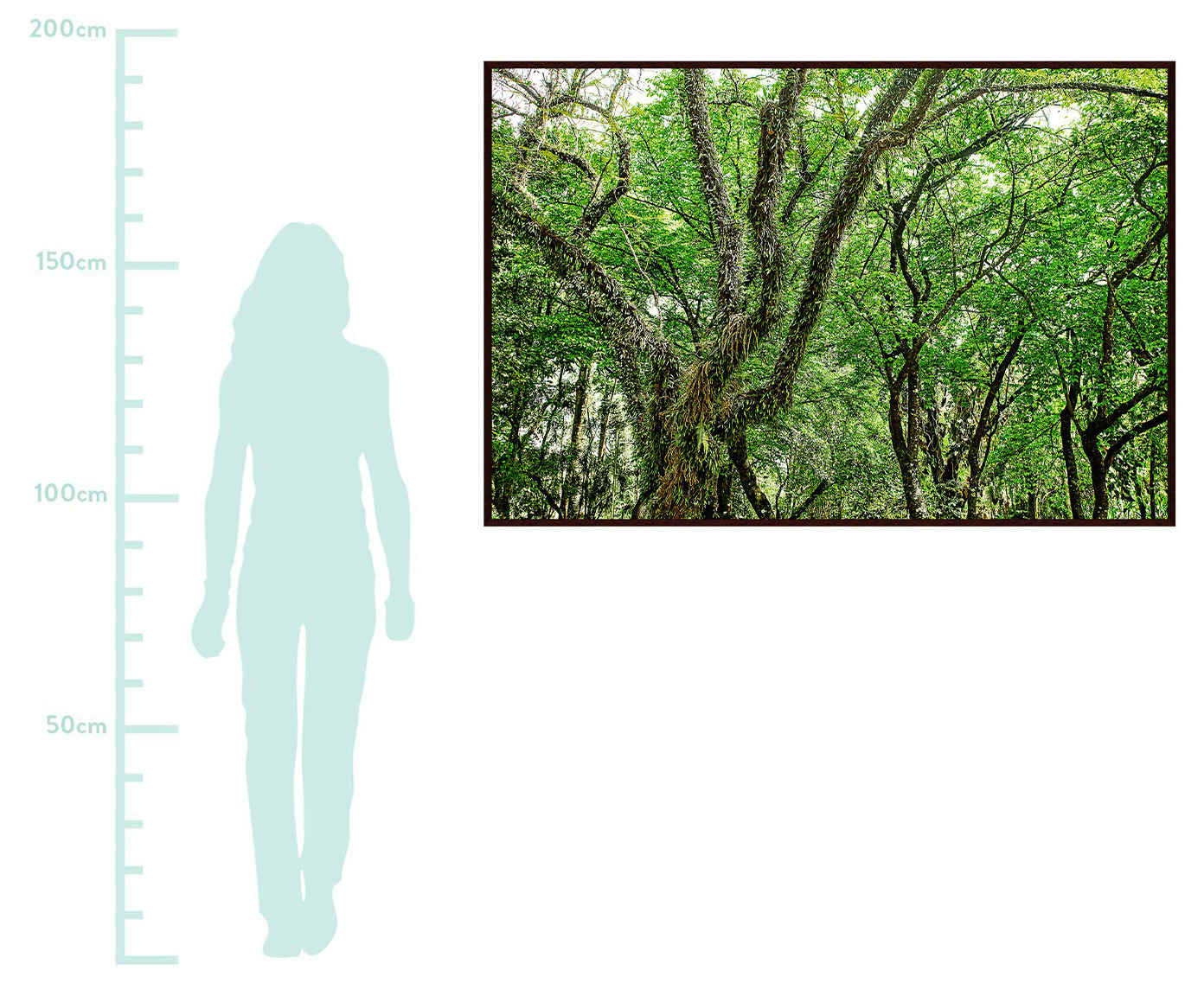 Quadro Save The Forest lV image number 1