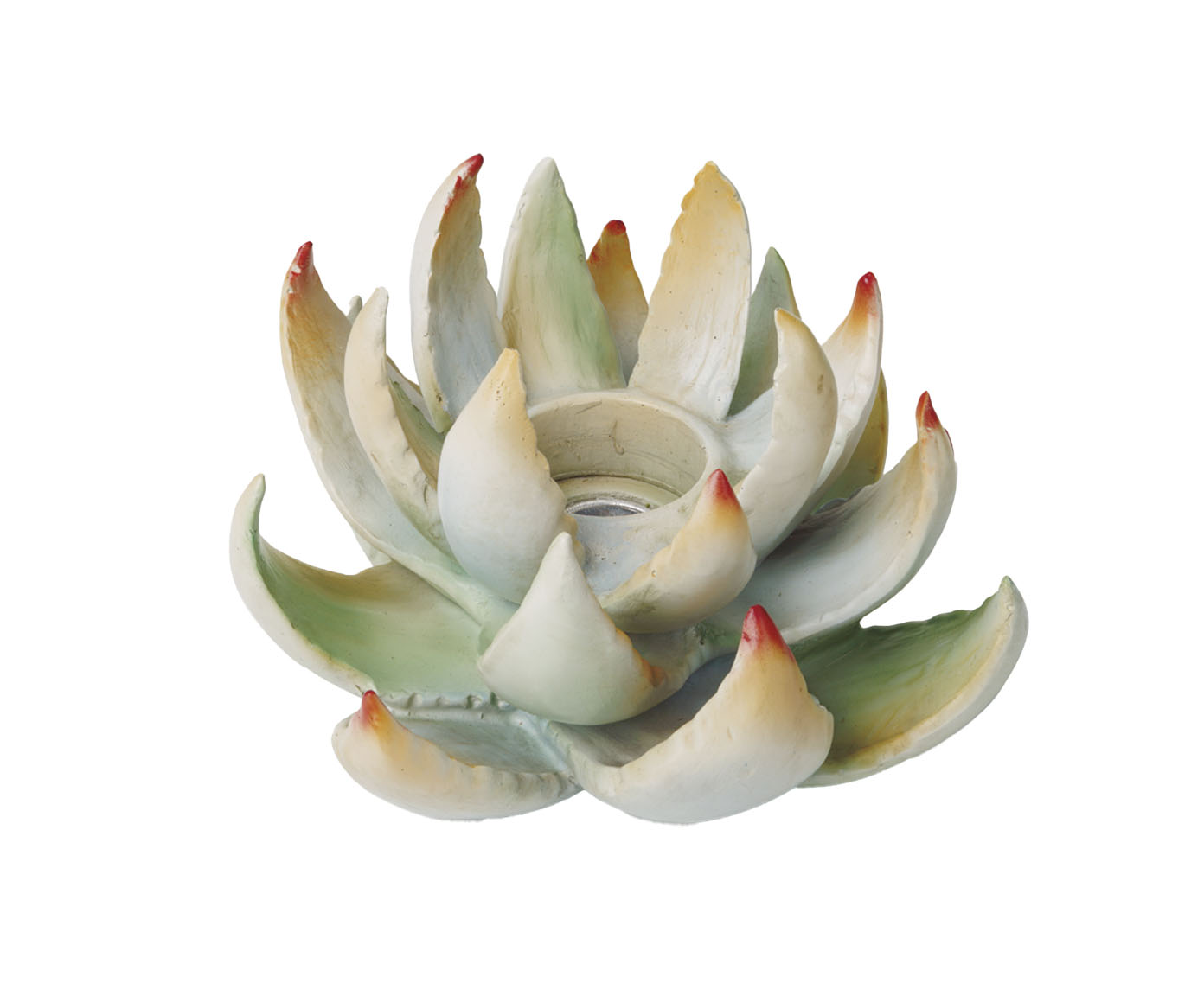 Casti&ccedil;al Suculenta Verde - image 0