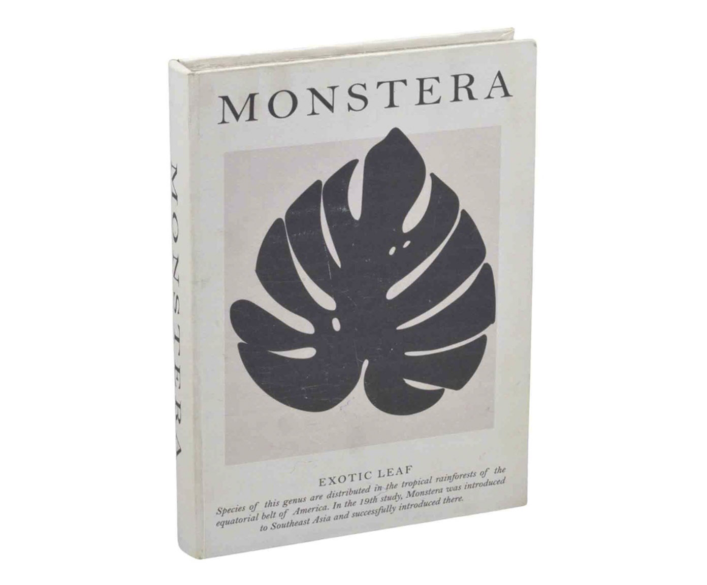 Book Box Decorativa Ajyra image number 0