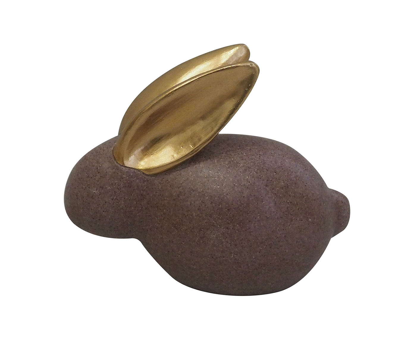 Adorno Coelho image number 0